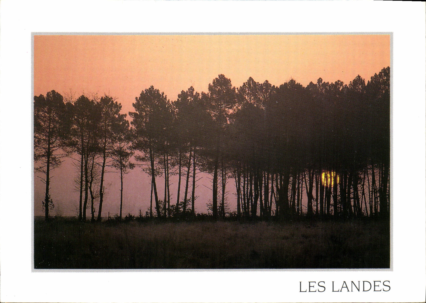 CPM Les Landes 