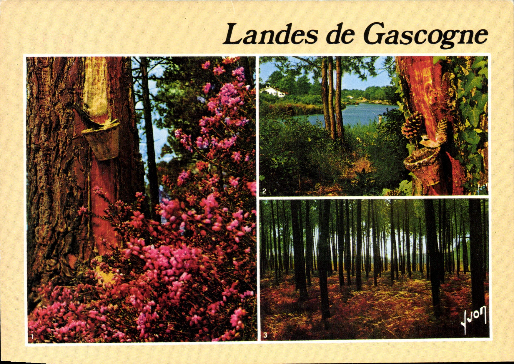 CPM Landes de Gascogne 