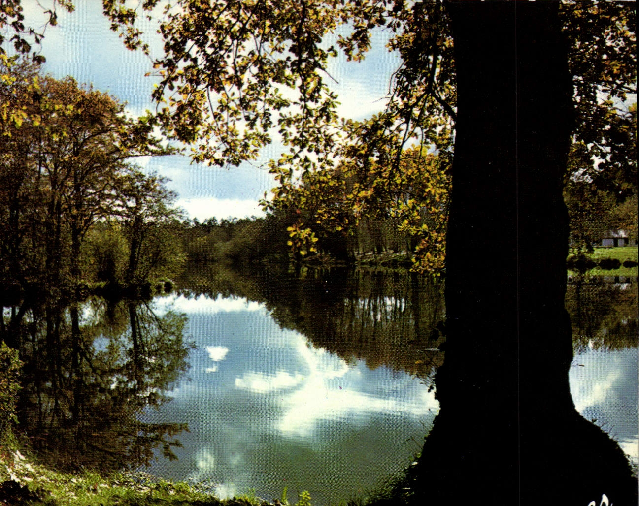 CPM Visage des Landes Quand vient l'Automne sur nos etangs