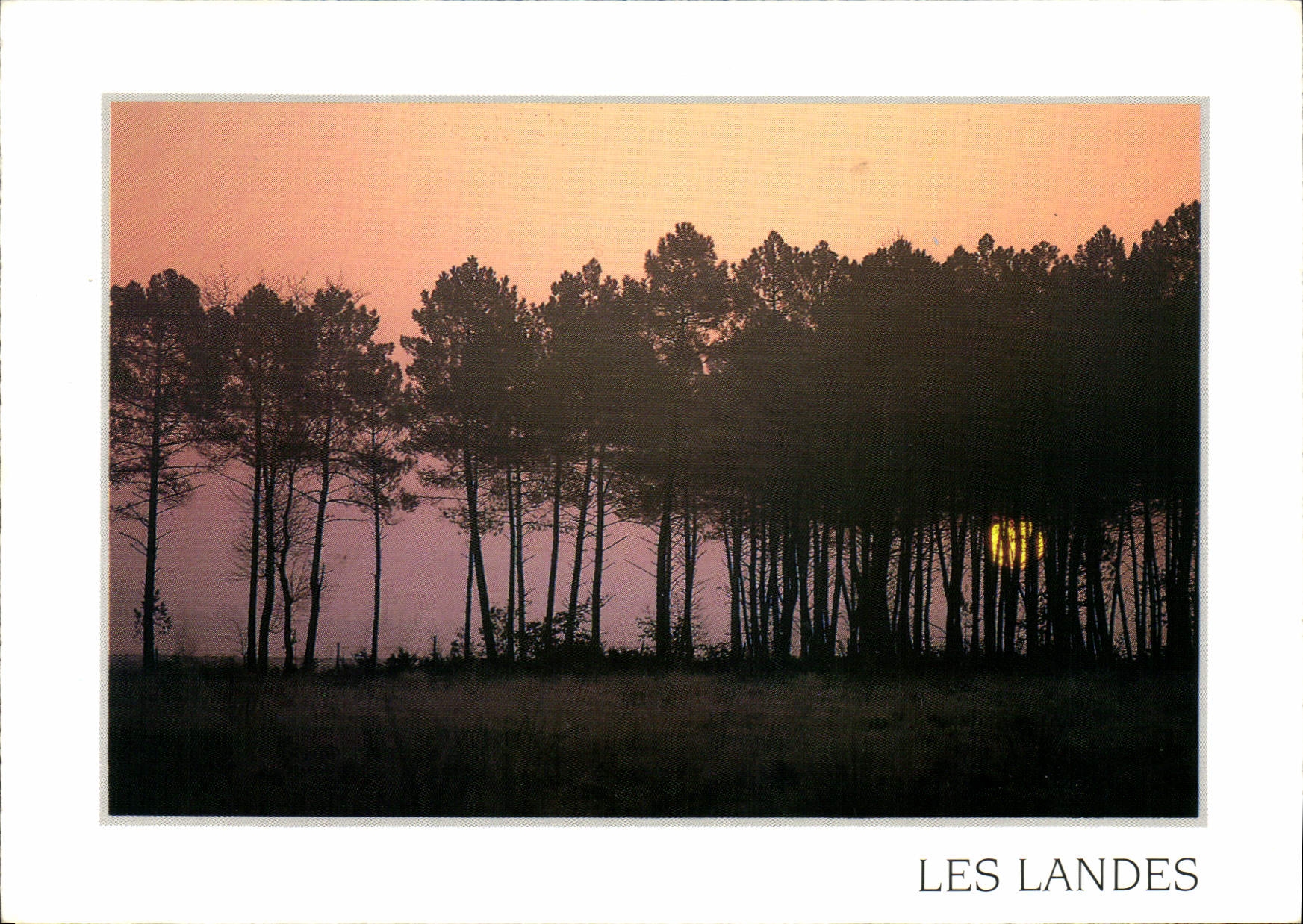 CPM Visage des Landes 