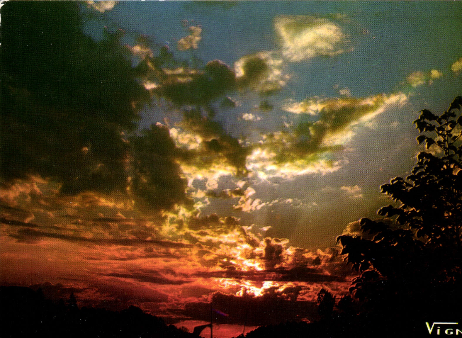 CPM Paysages des Landes Coucher de Soleil