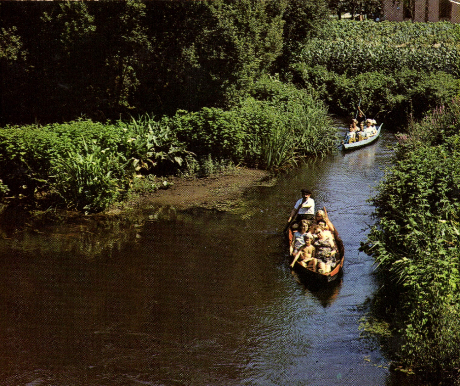 CPM Leon Landes Le Courant d'Huchet 