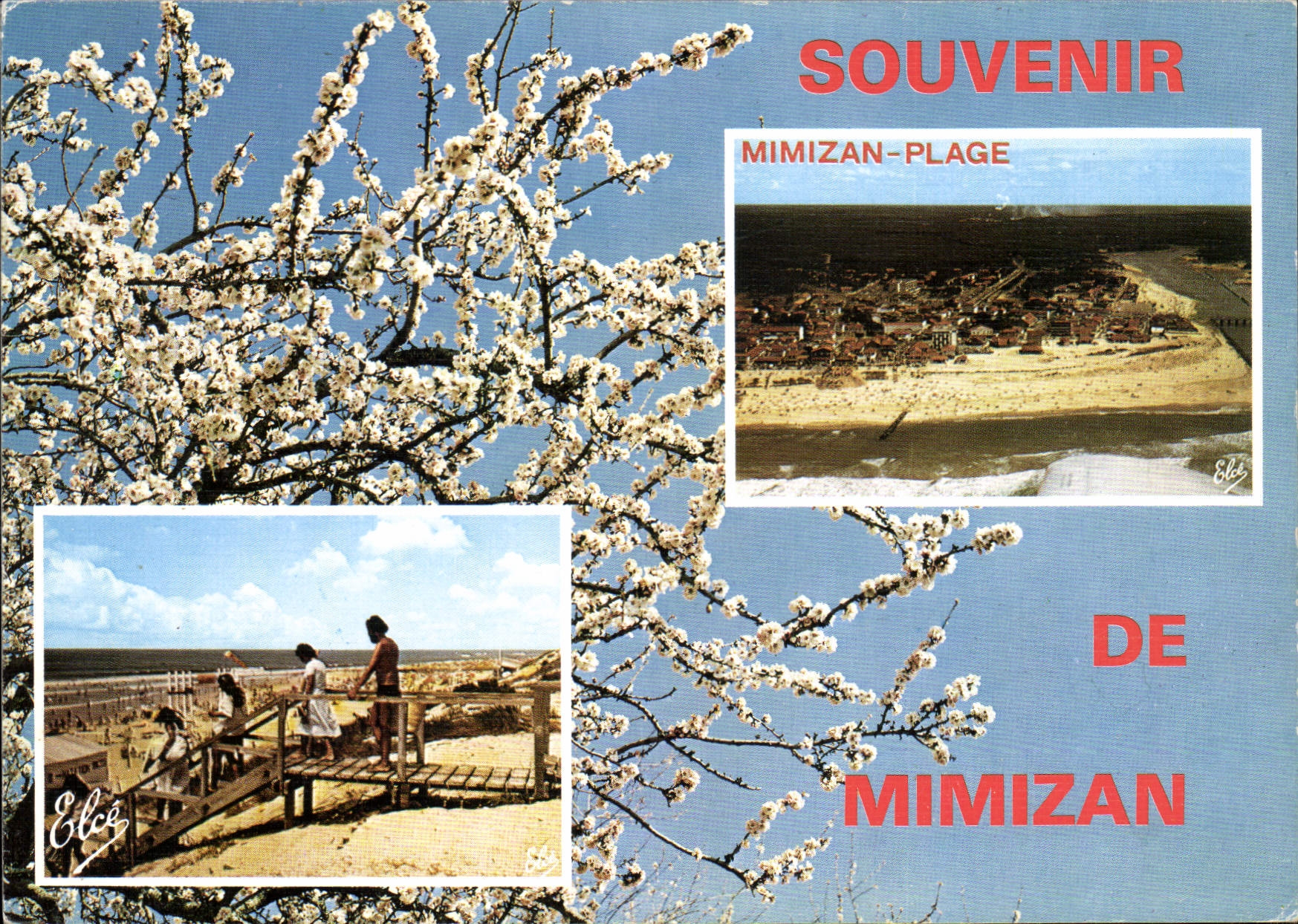CPM Souvenir de Mimizan 