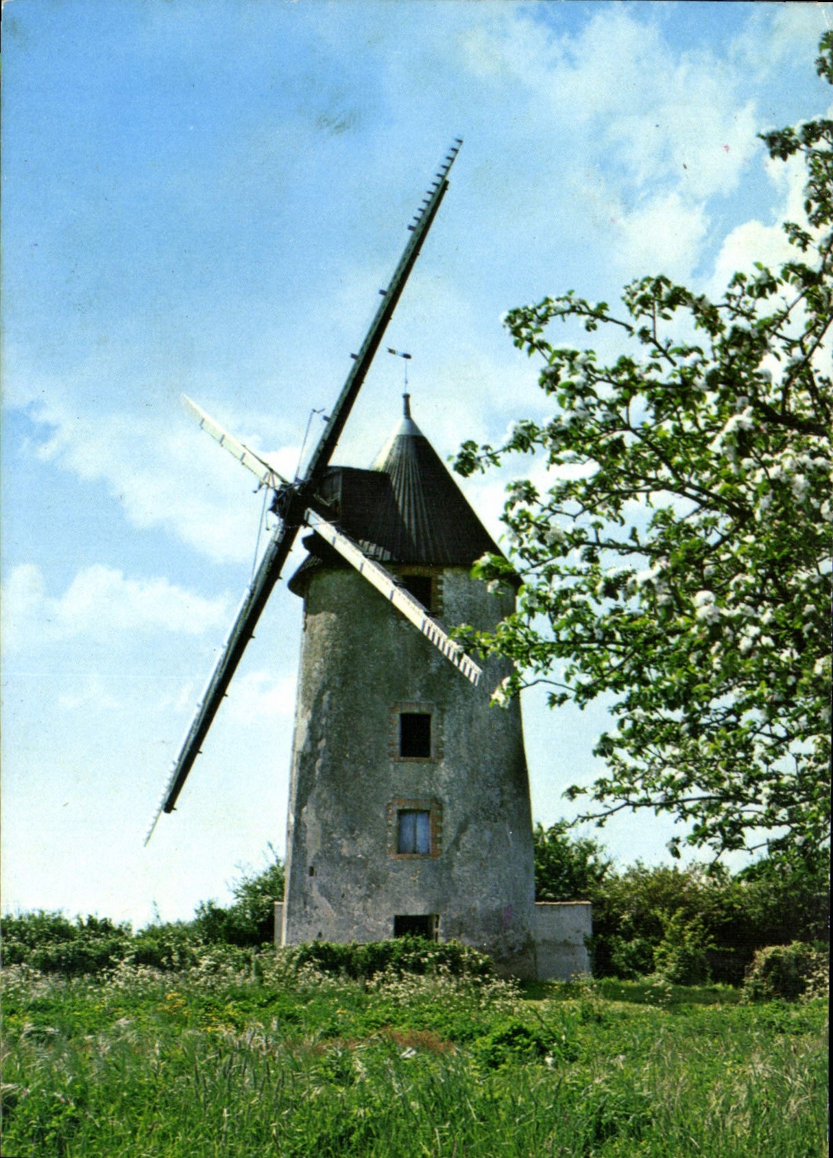 CPM Moulin Vendeen Moulin a vent