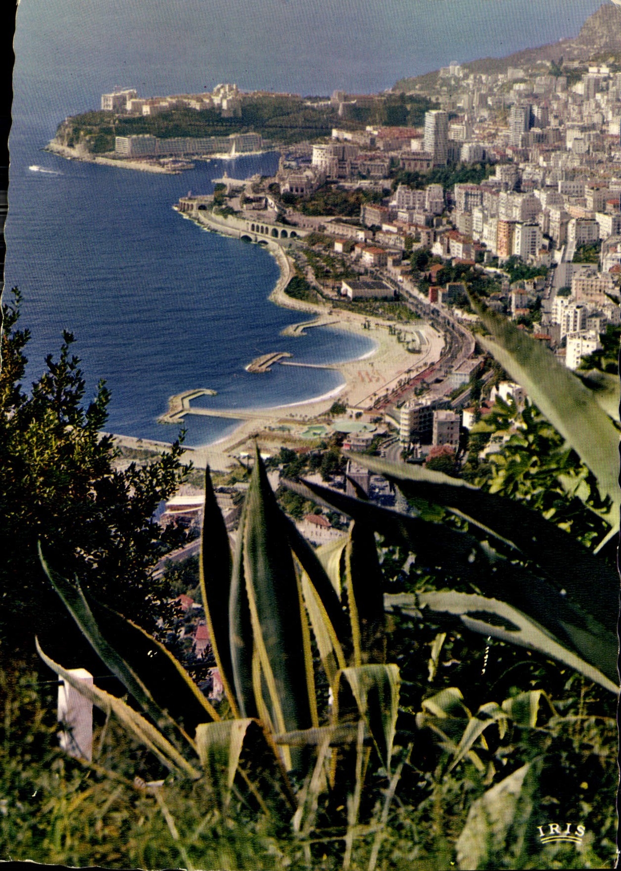 CPM Principaute de Monaco Vue panoramique de la plage du Larvotto