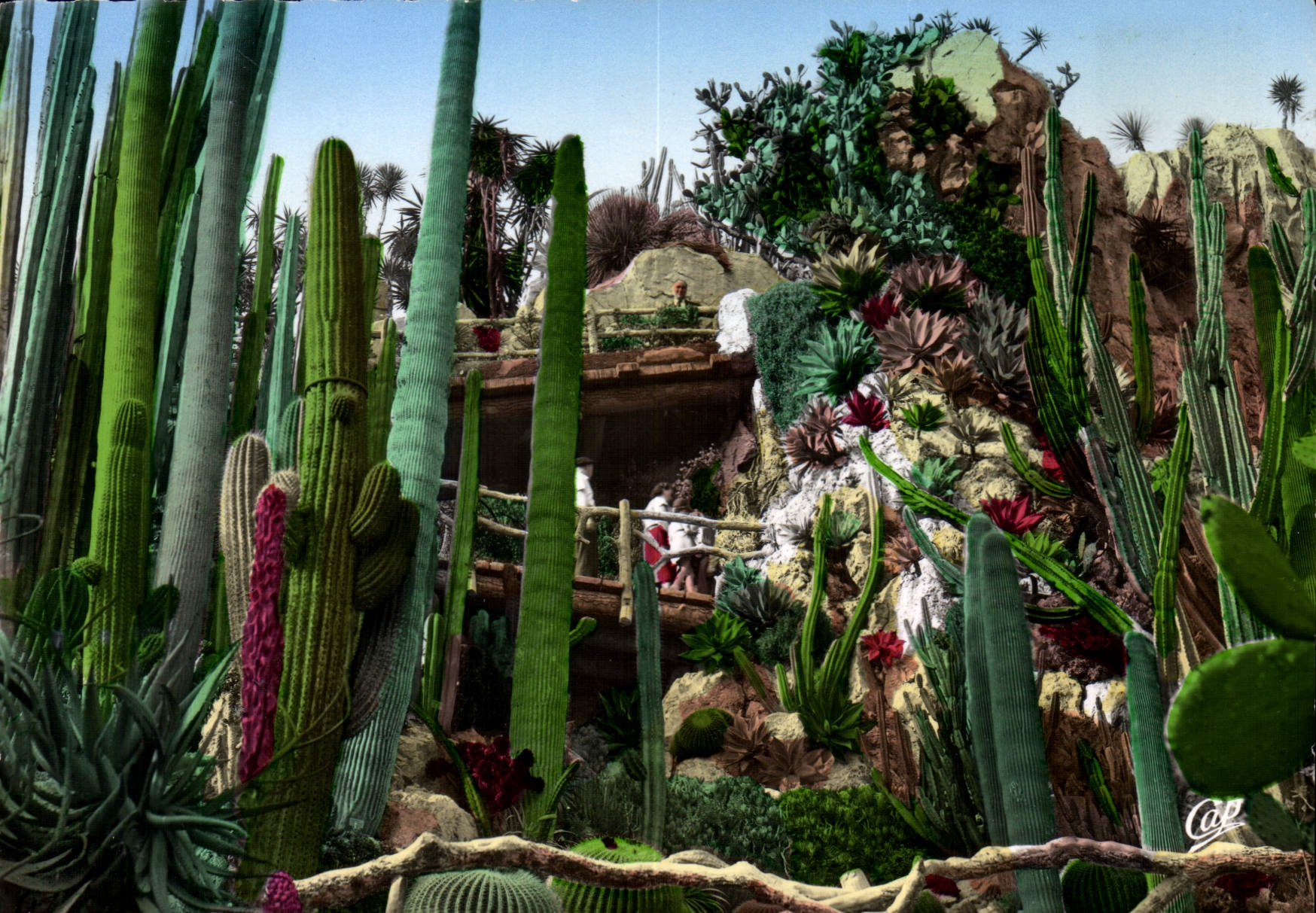 CPM Monaco Le Jardin Exotique 