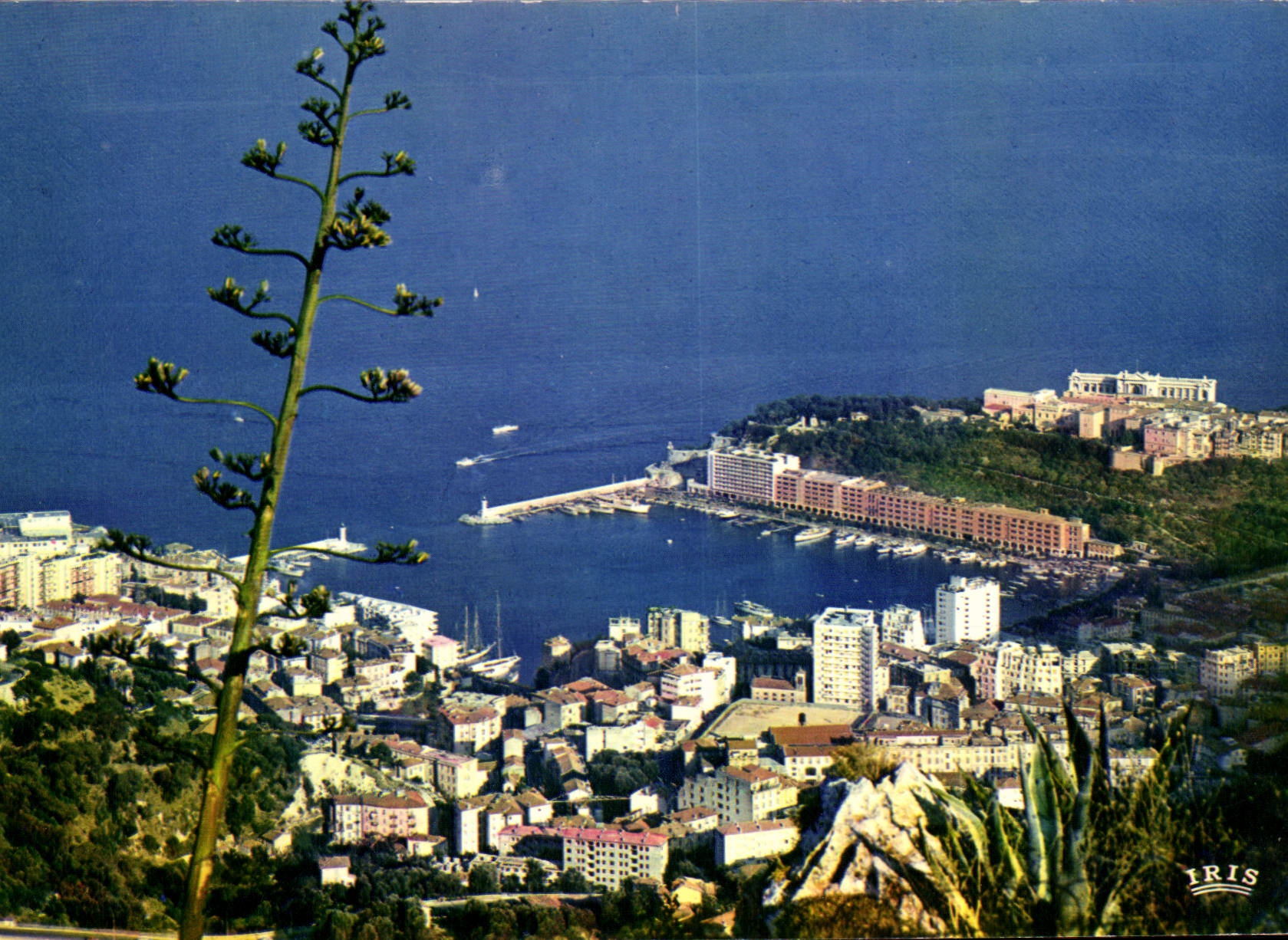 CPM Principaute de Monaco Vue generale prise de la Turbie 