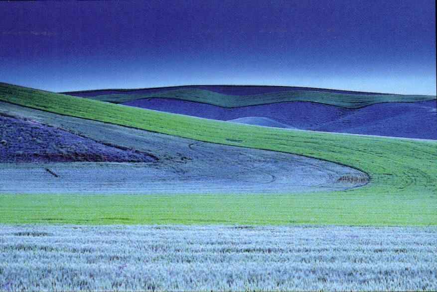 CPM Les champs bleus