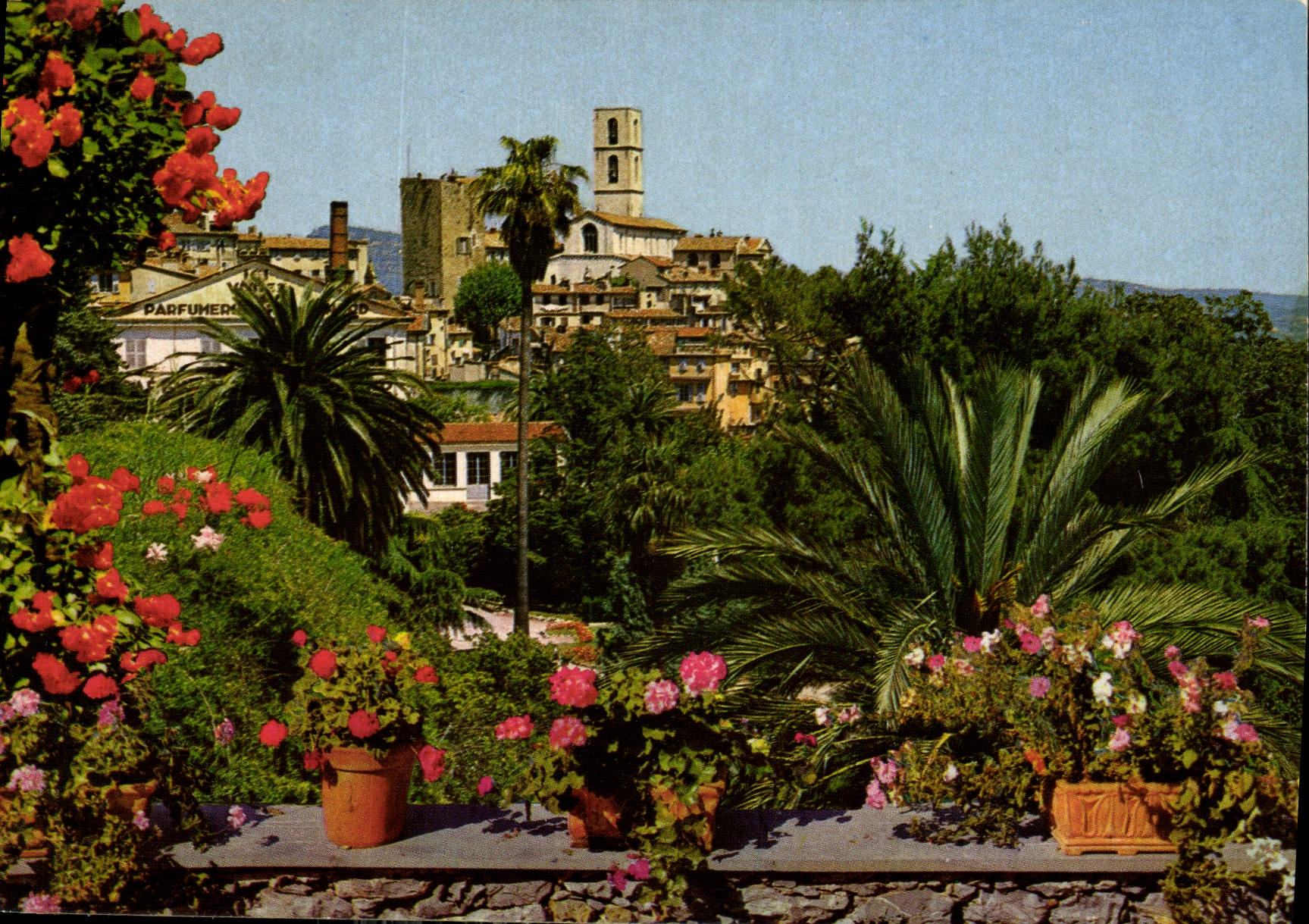 CPM Cote d'Azur Grasse Alpes Maritimes 