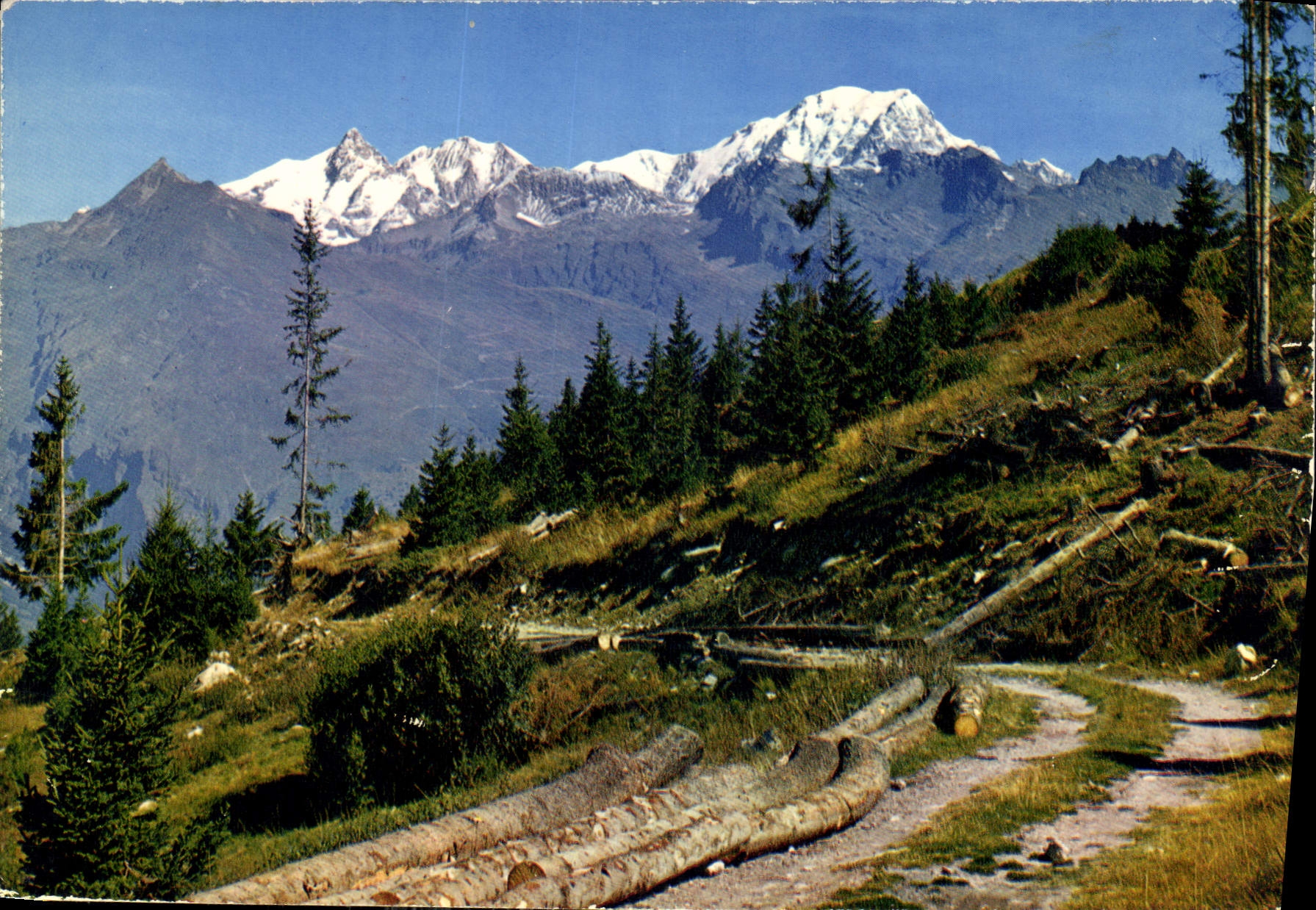 CPM Les Alpes Francaises Pittoresque promenade en montagne