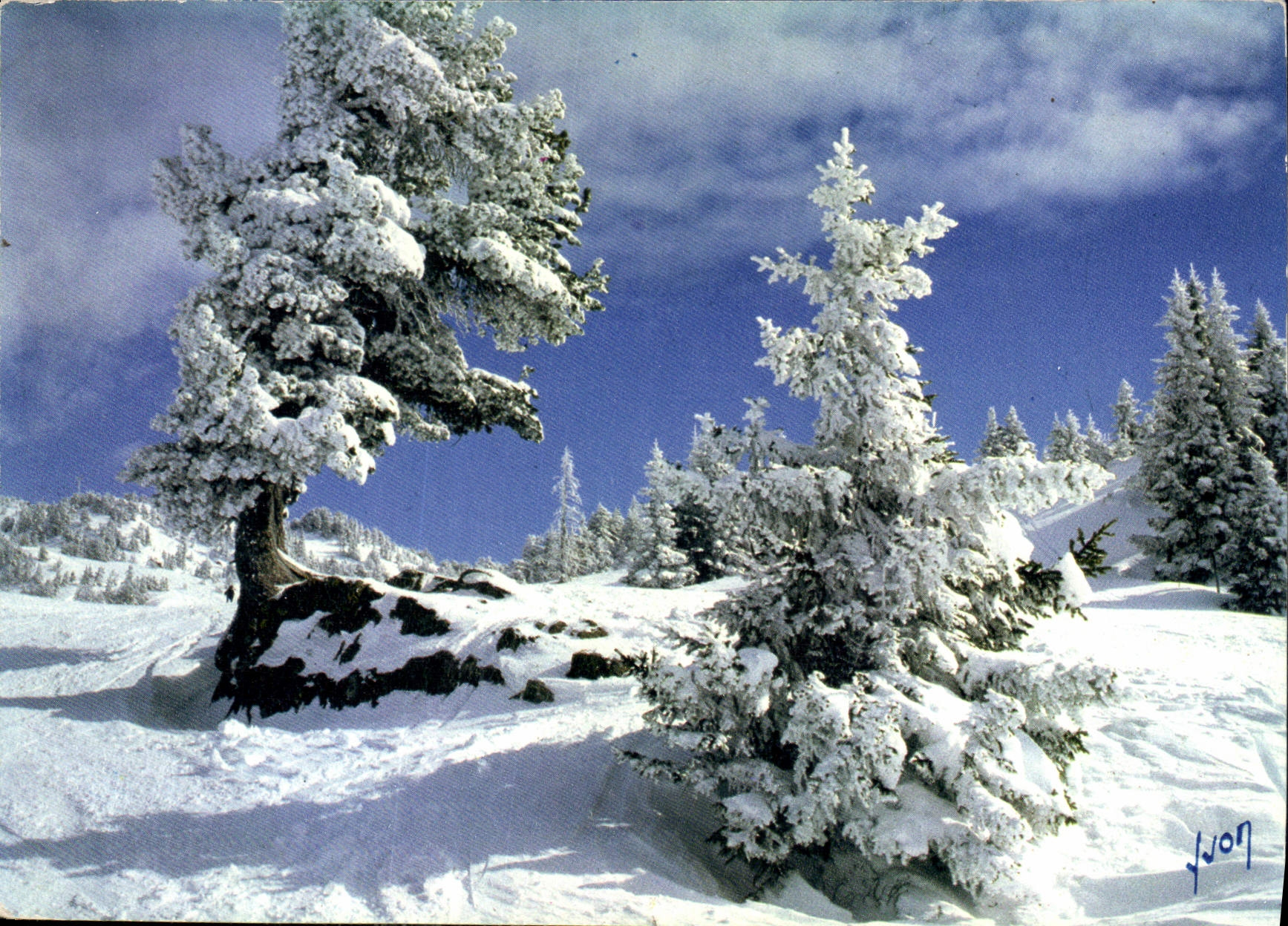 CPM Couleurs et Lumiere de France Feerie Hivernale