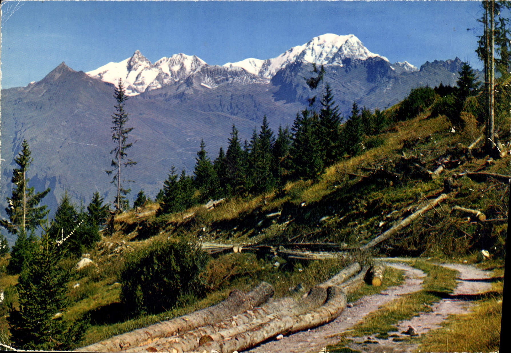 CPM Les Alpes Francaises Pittoresque promenade en montagne