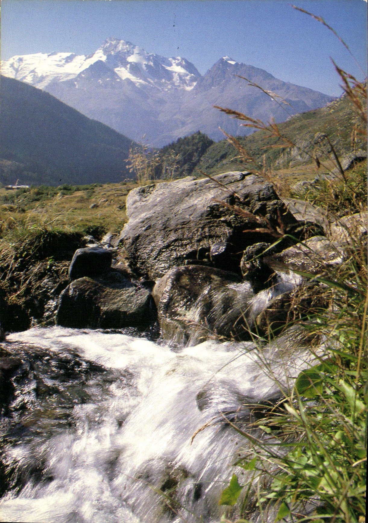 CPM Le torrent a l'eau claire et limpide