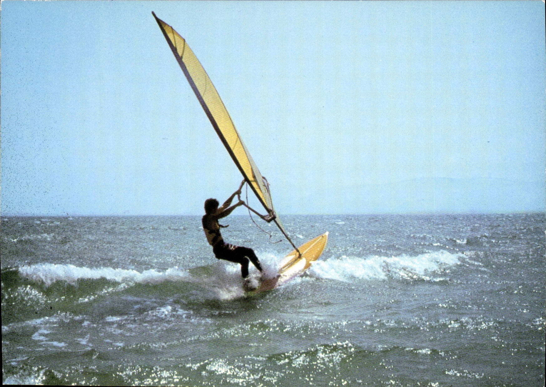 CPM Aime la vie aile les voiles 