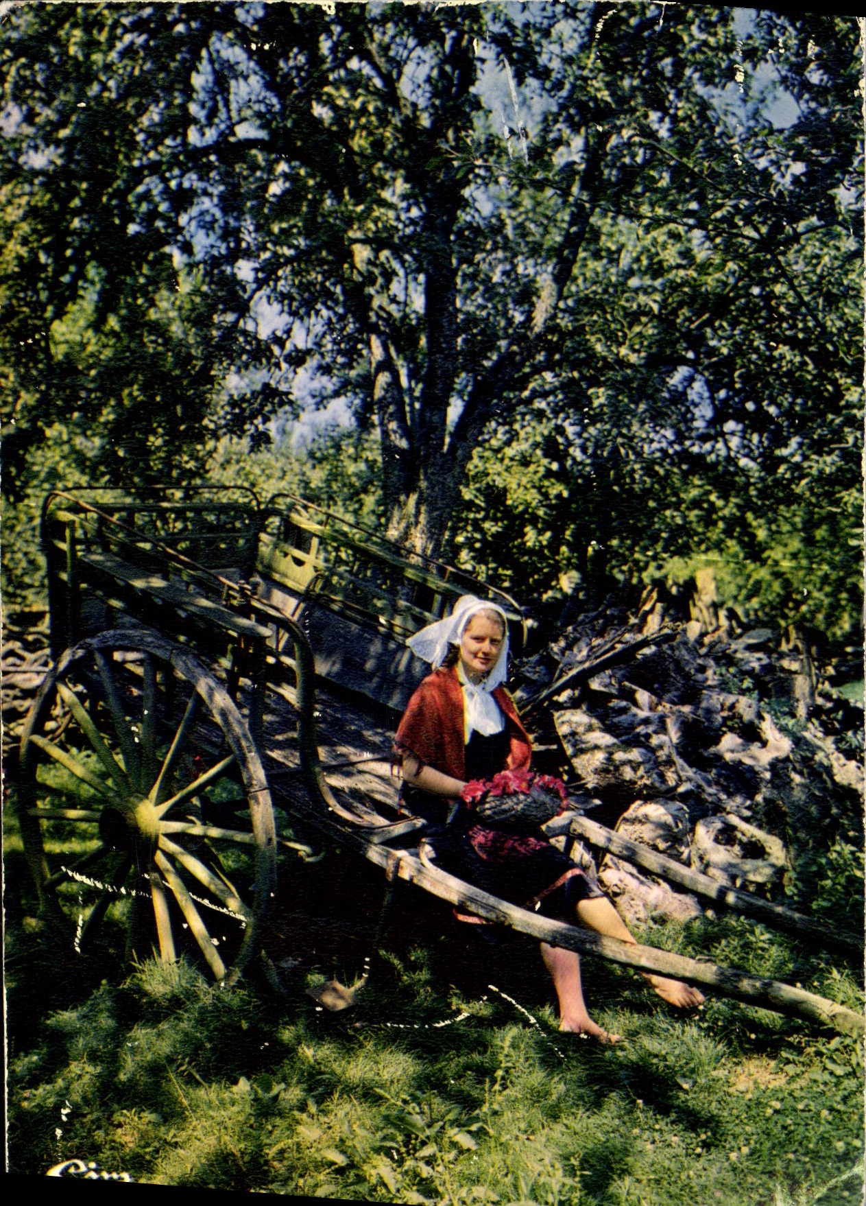 CPA Ma Normandie Costumes et Scenes Champetres