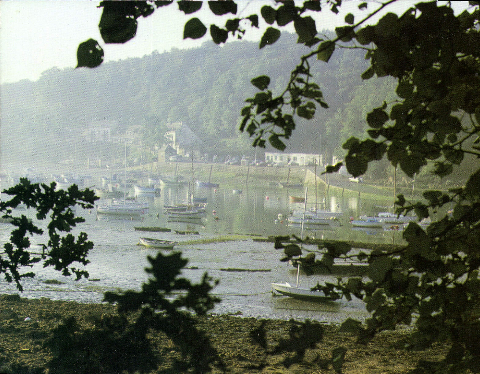 CPM La Bretagne Pittoresque le Port au petit Matin Belon a proximite de Riec sur Belon et Moelan sur