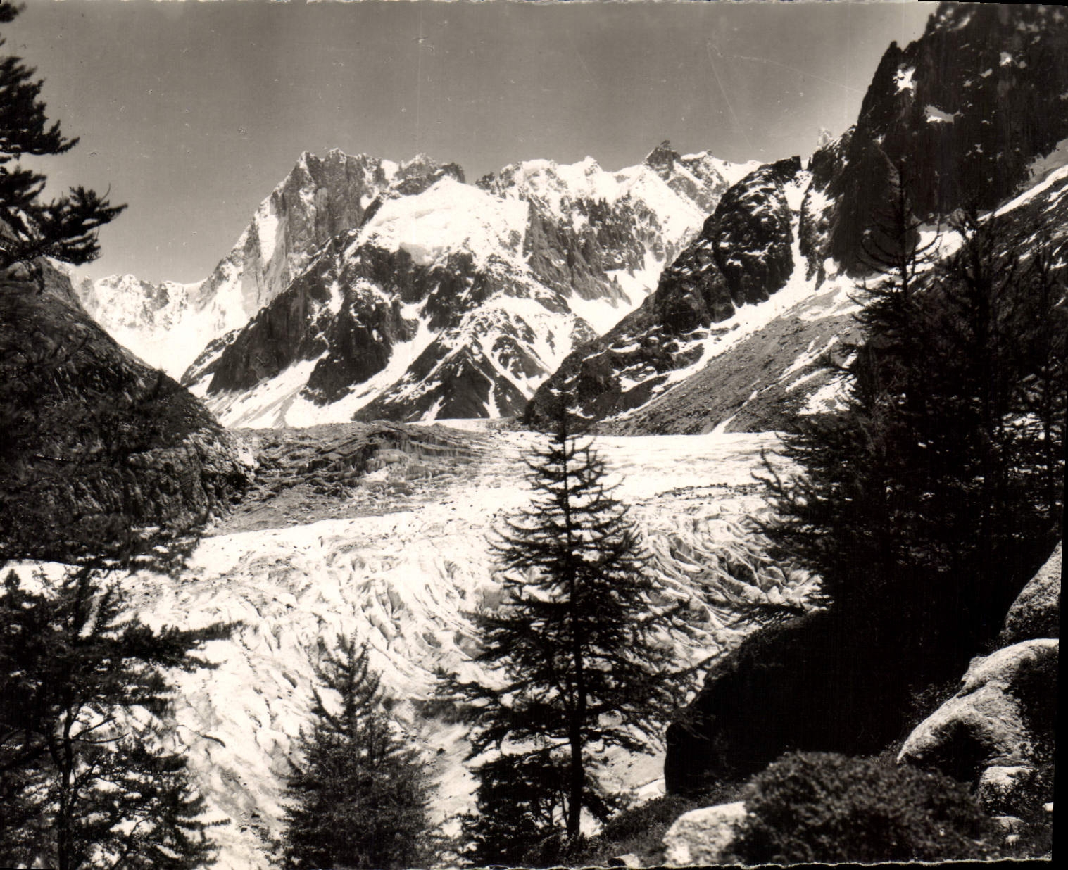 CPM Chamonix Mont Blanc la Mer de Glace et les Grandes Jorasses