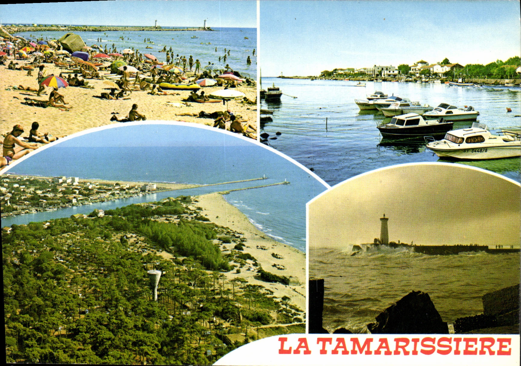 CPM En Parcourant la Cote Mediterraneenne la Tamarissiere Herault