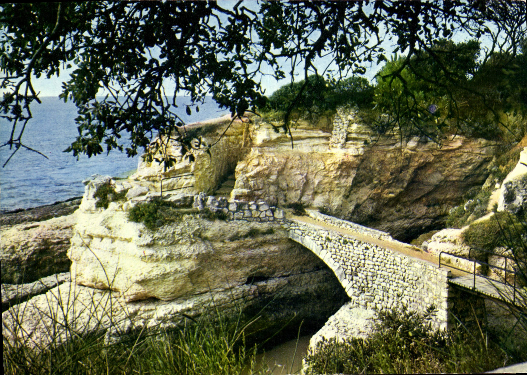 CPM Saint Palais sur mer le Pont de la corniche