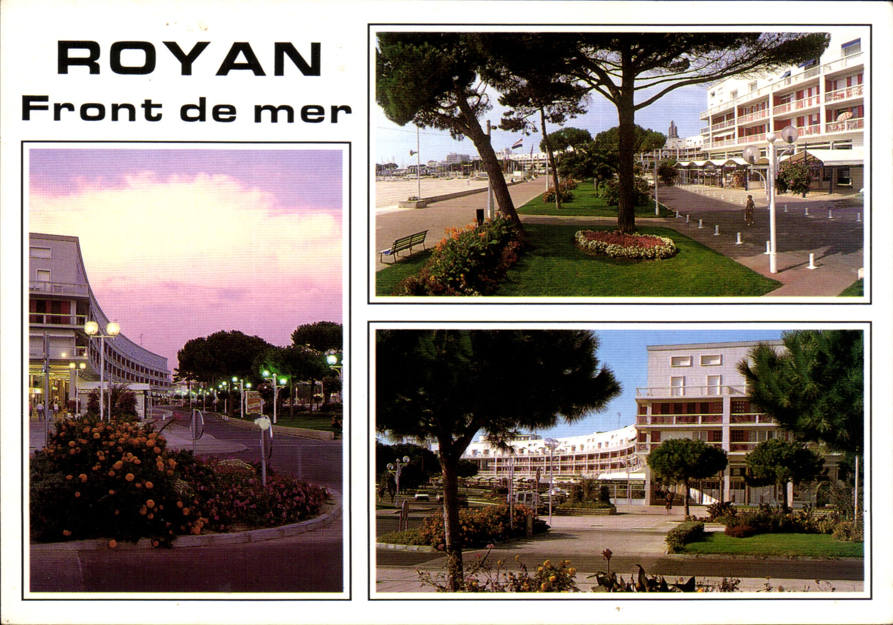 CPM Royan Face a la Grande Plage le Front de Mer 