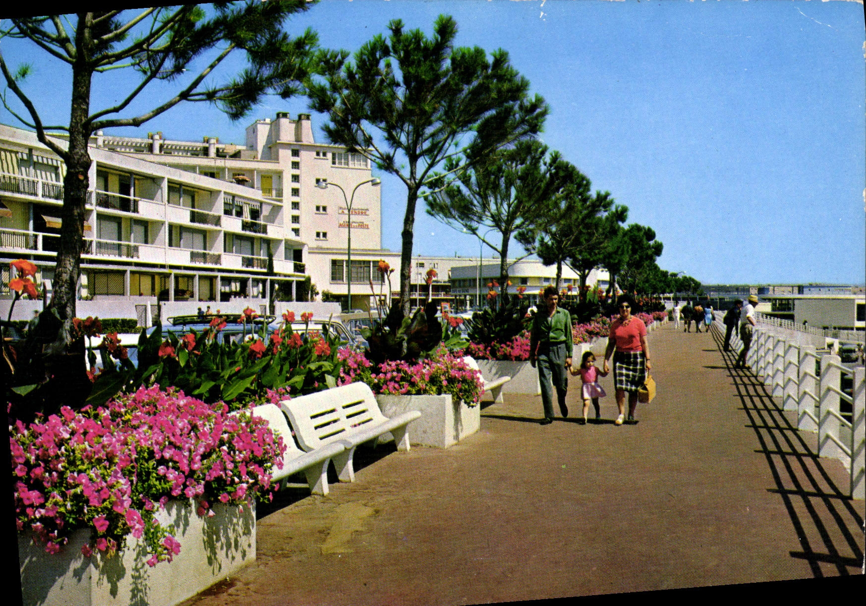 CPM Royan Ch Mme la Promenade du Port 