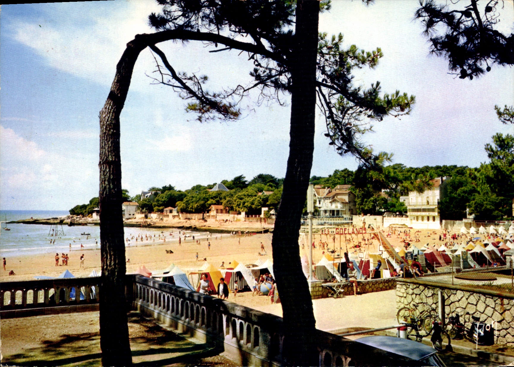 CPM La Cote de beaute Saint Palais sur Mer Ch M la Plage 