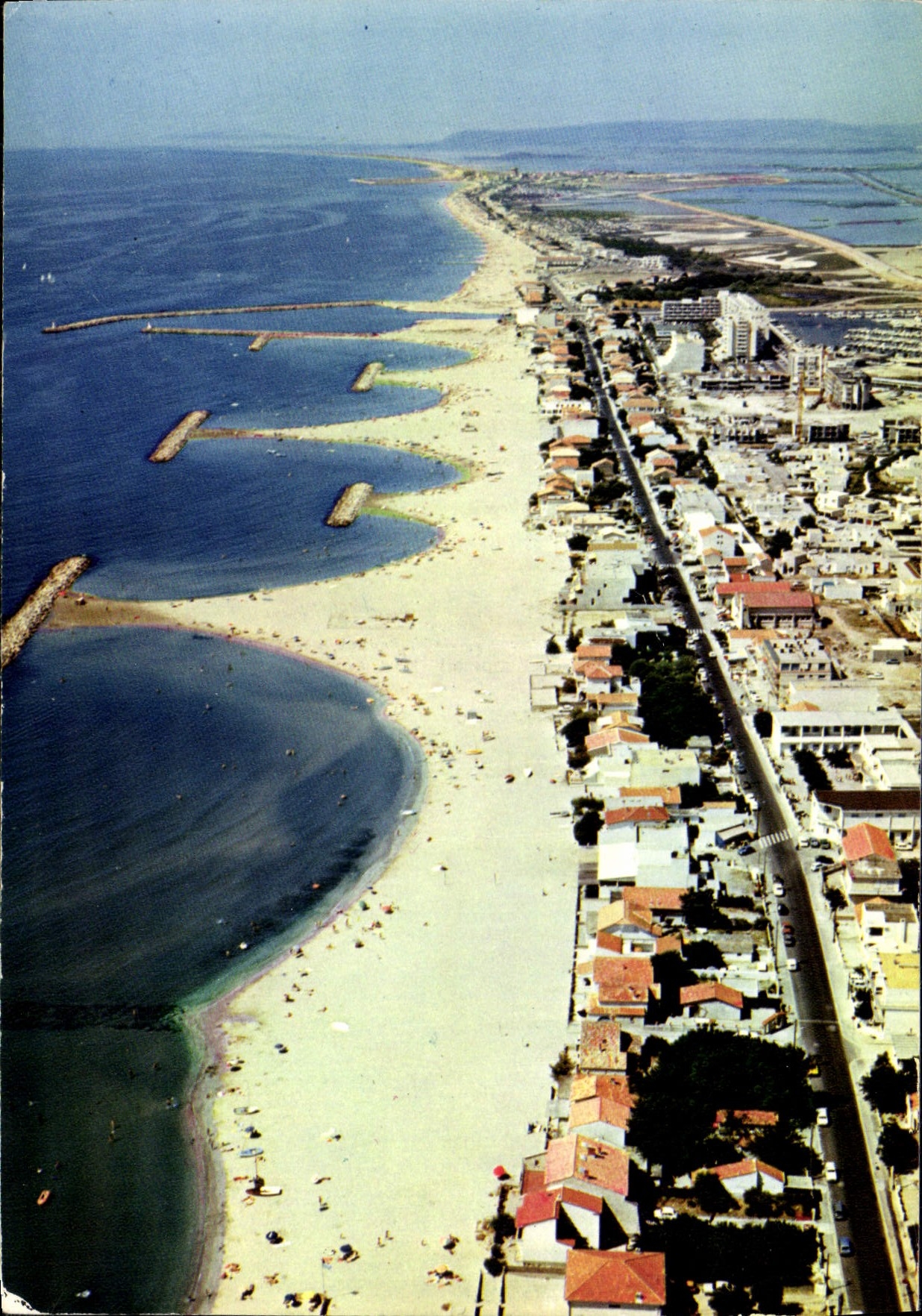 CPM Paysage du Languedoc Carnon Avenue G Sibrian la Plage et le Port