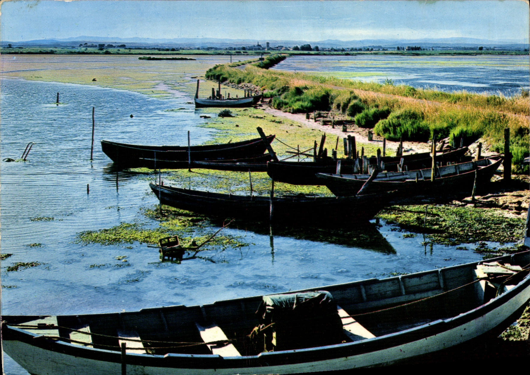 CPM Cote Mediterraneenne du golfe du Lion 