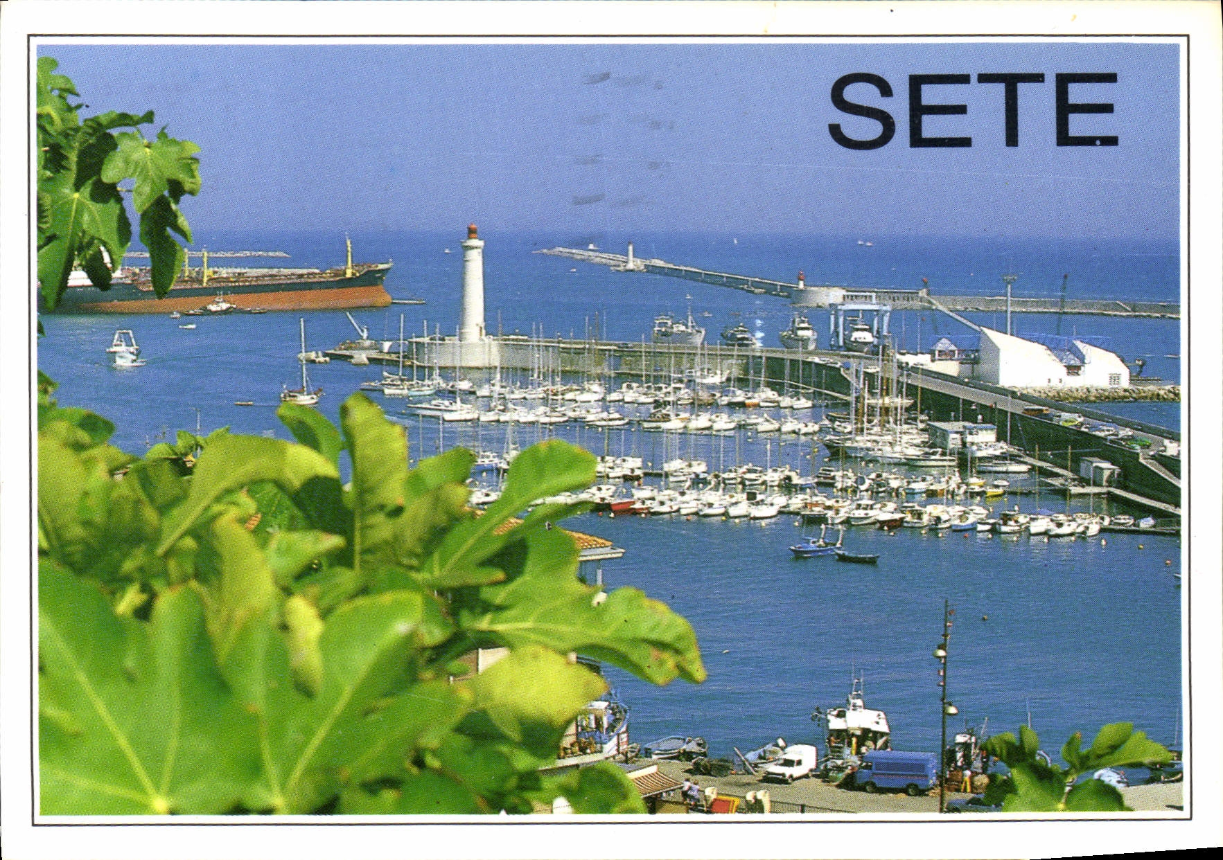 CPM Sete le port de Plaisance 