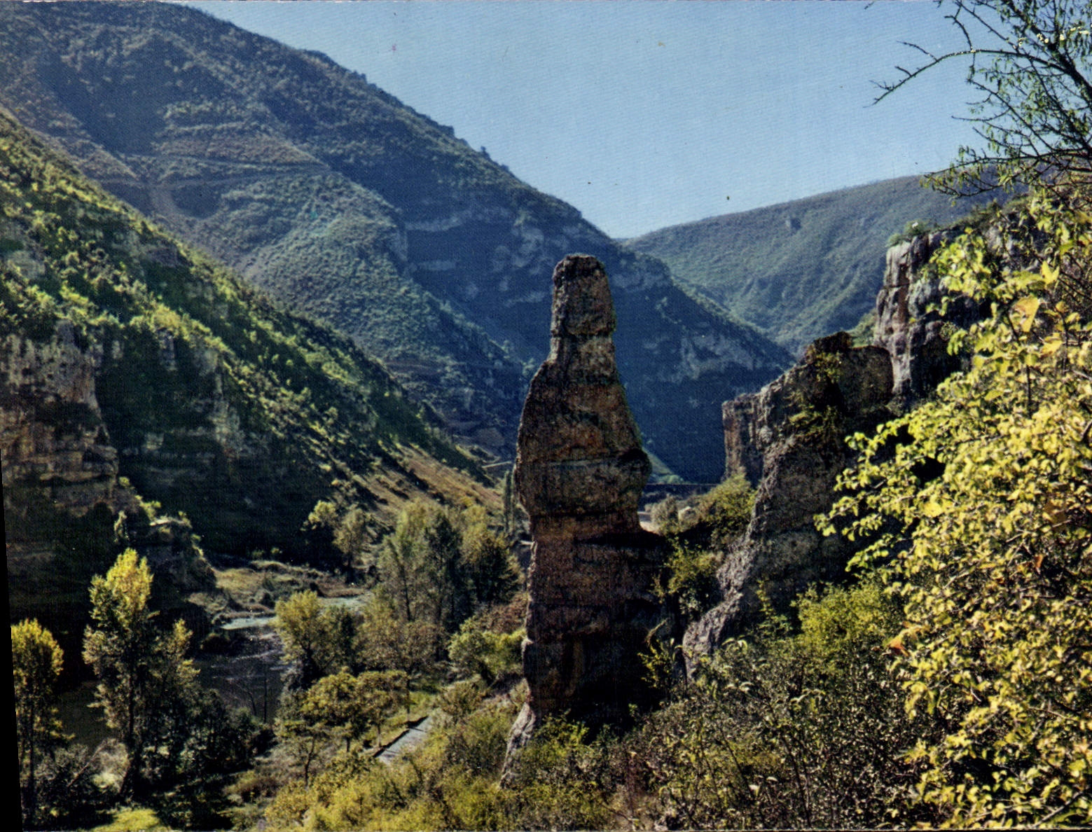 CPA Les Gorges du Tarn Paysage pittoresque 