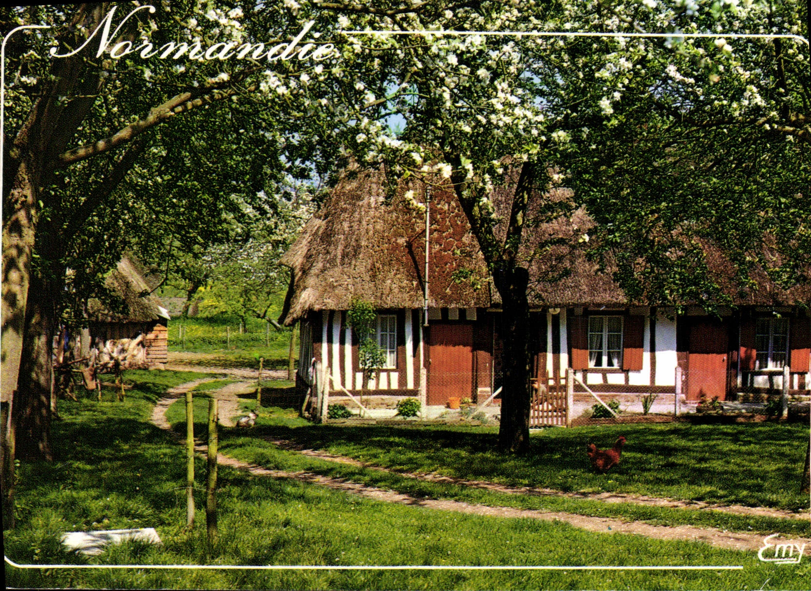 CPA La Normandie Pittoresque Chaumiere normande au printemps 