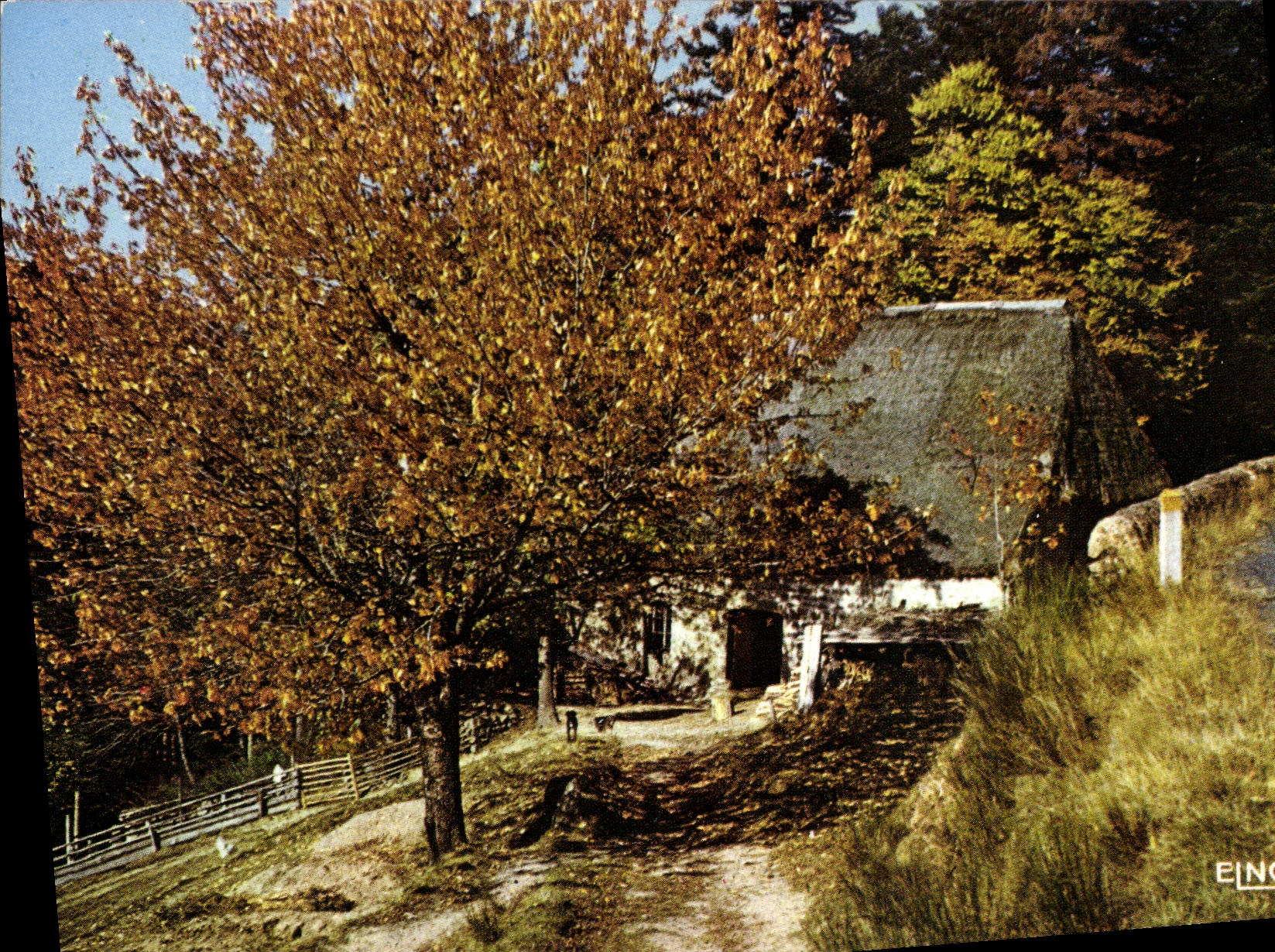 CPM Chaumiere en Automne 