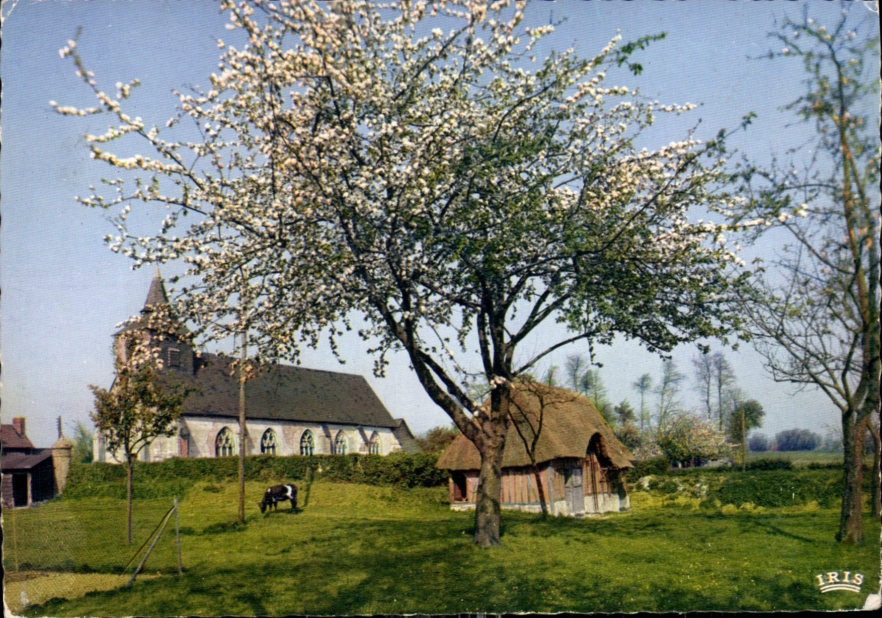 CPM Charmes et couleurs de la Normandie Paysage normand 