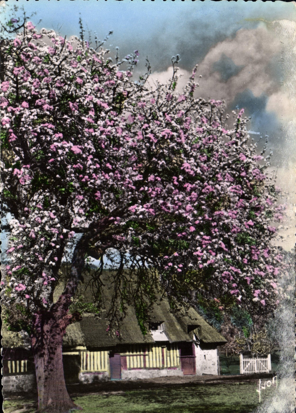 CPM En Normandie Ferme normande 