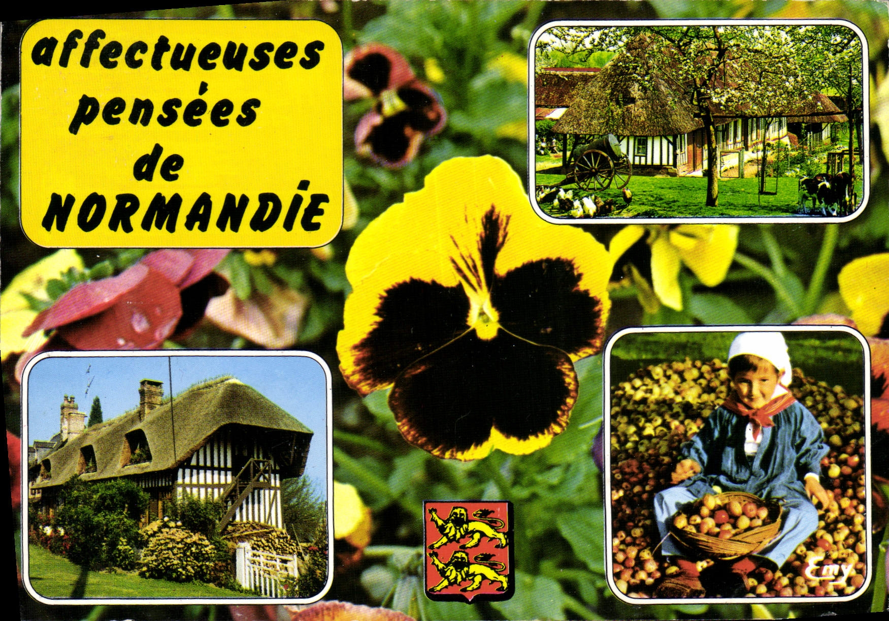 CPM La Normandie pittoresque affectueuses pensees de Normandie 