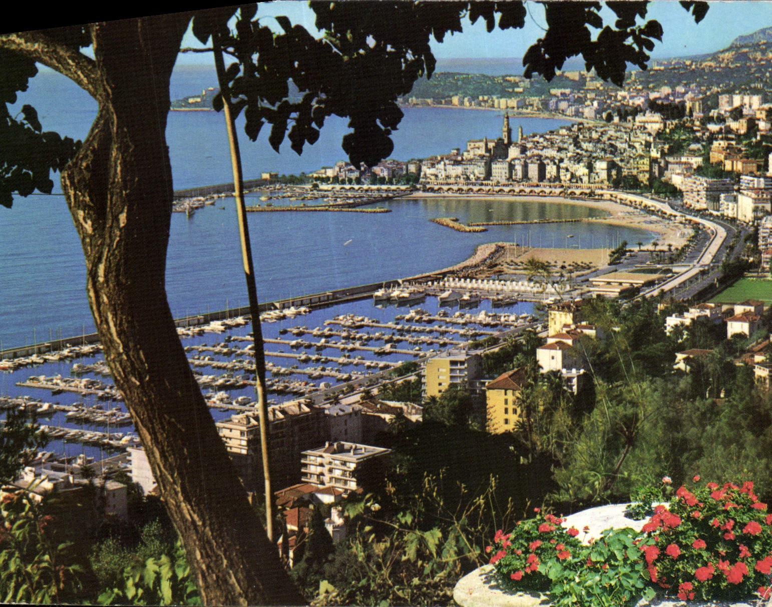 CPA Menton Cote d'Azur le nouveau port en Vieille ville 