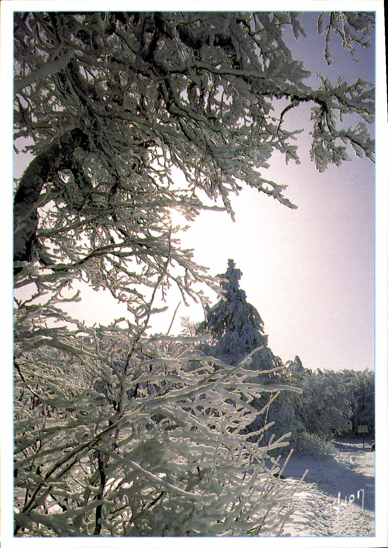 CPM Couleurs et lumiere de France Feerie hivernale 