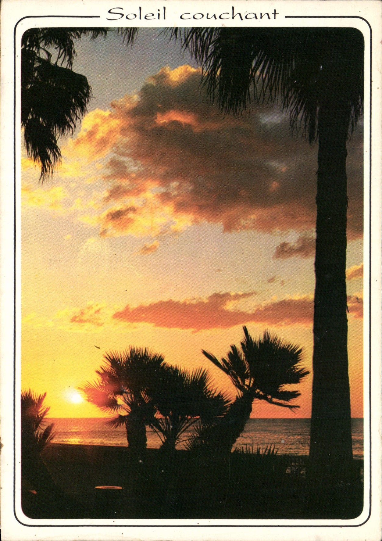 CPM Coucher de Soleil en Mediterranee 