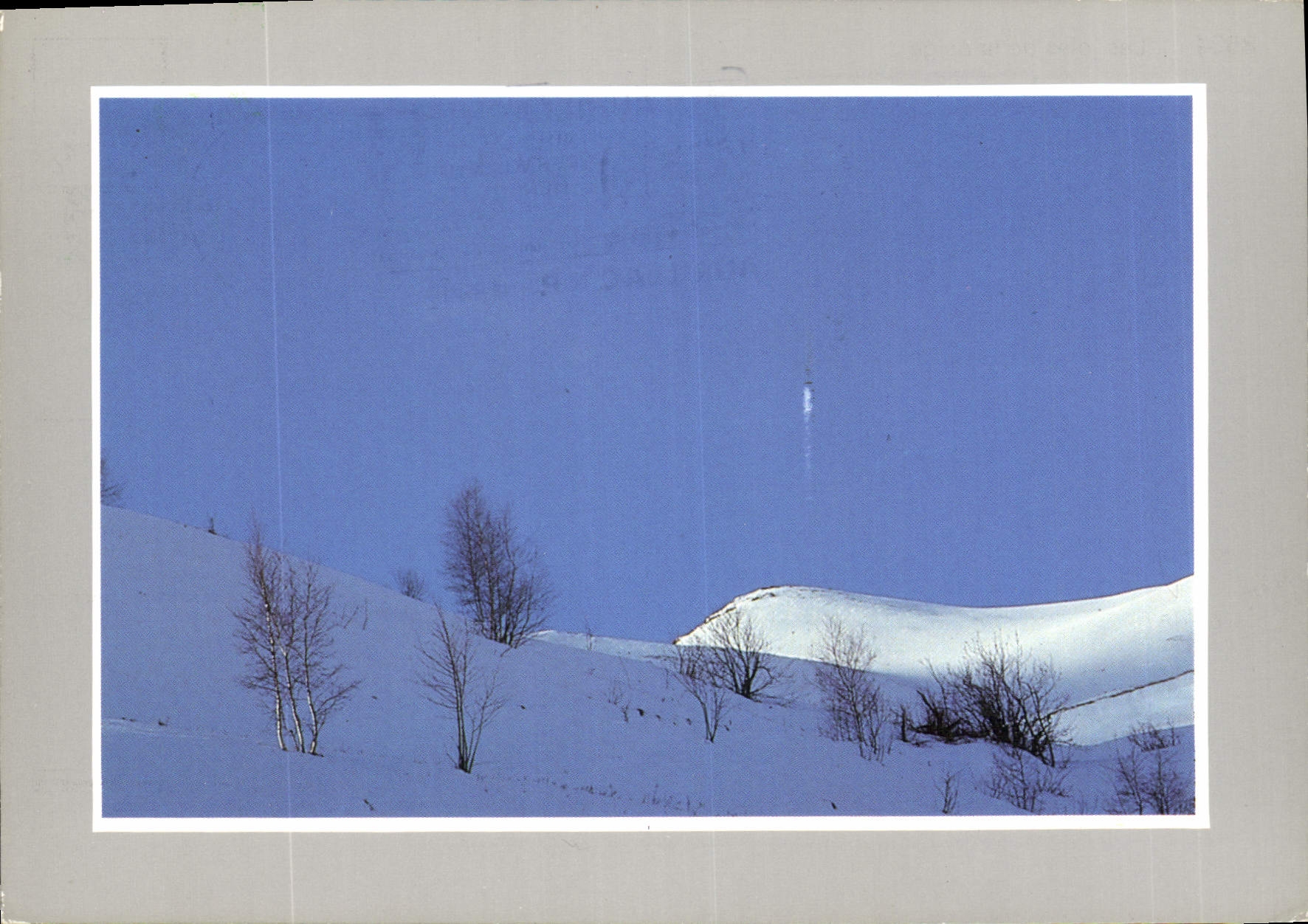 CPM Les joies de la neige 