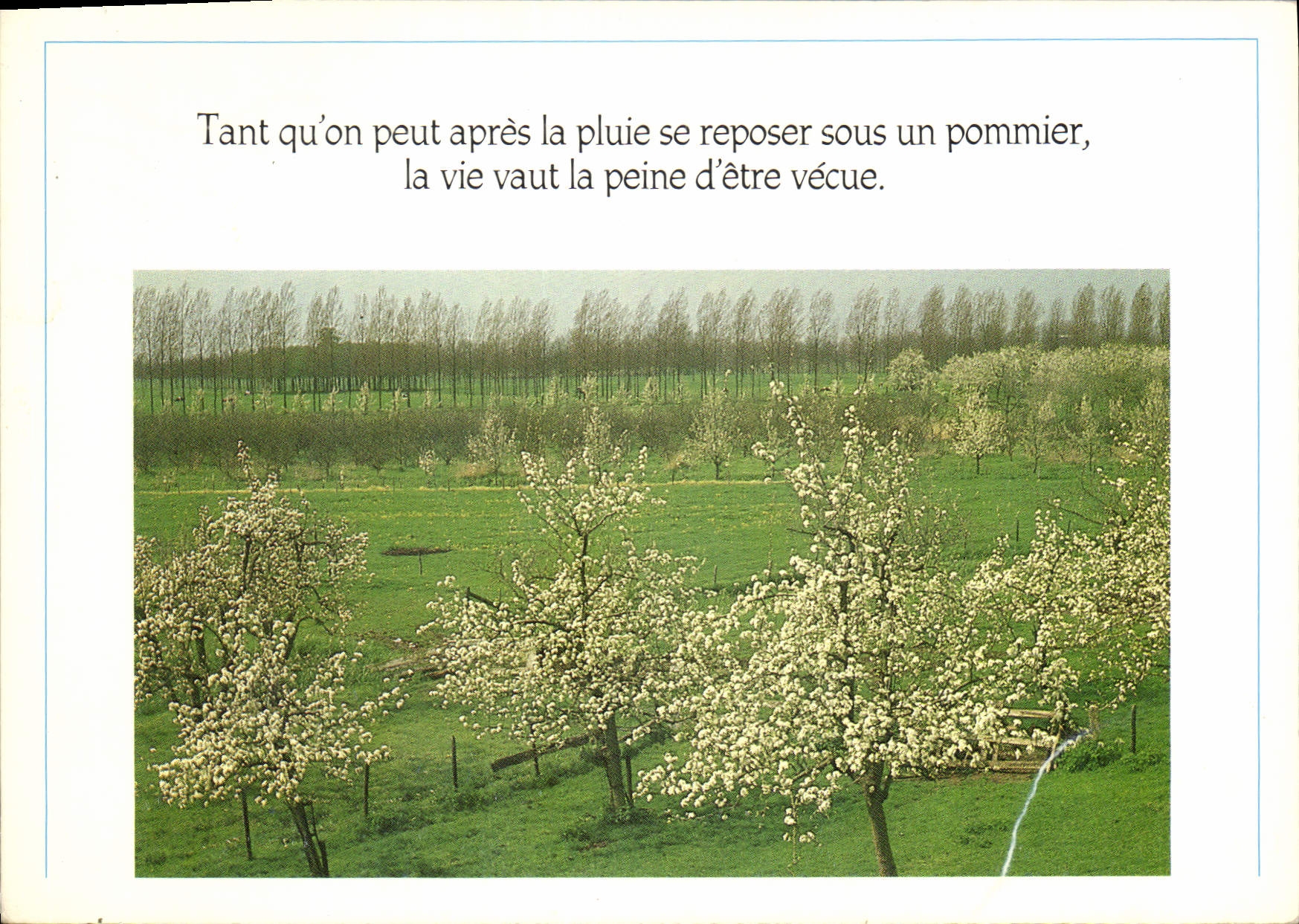 CPM Tant qu'on peut apres la pluie se reposer sous un pommier la vie vaut la peine d'ete vecue 