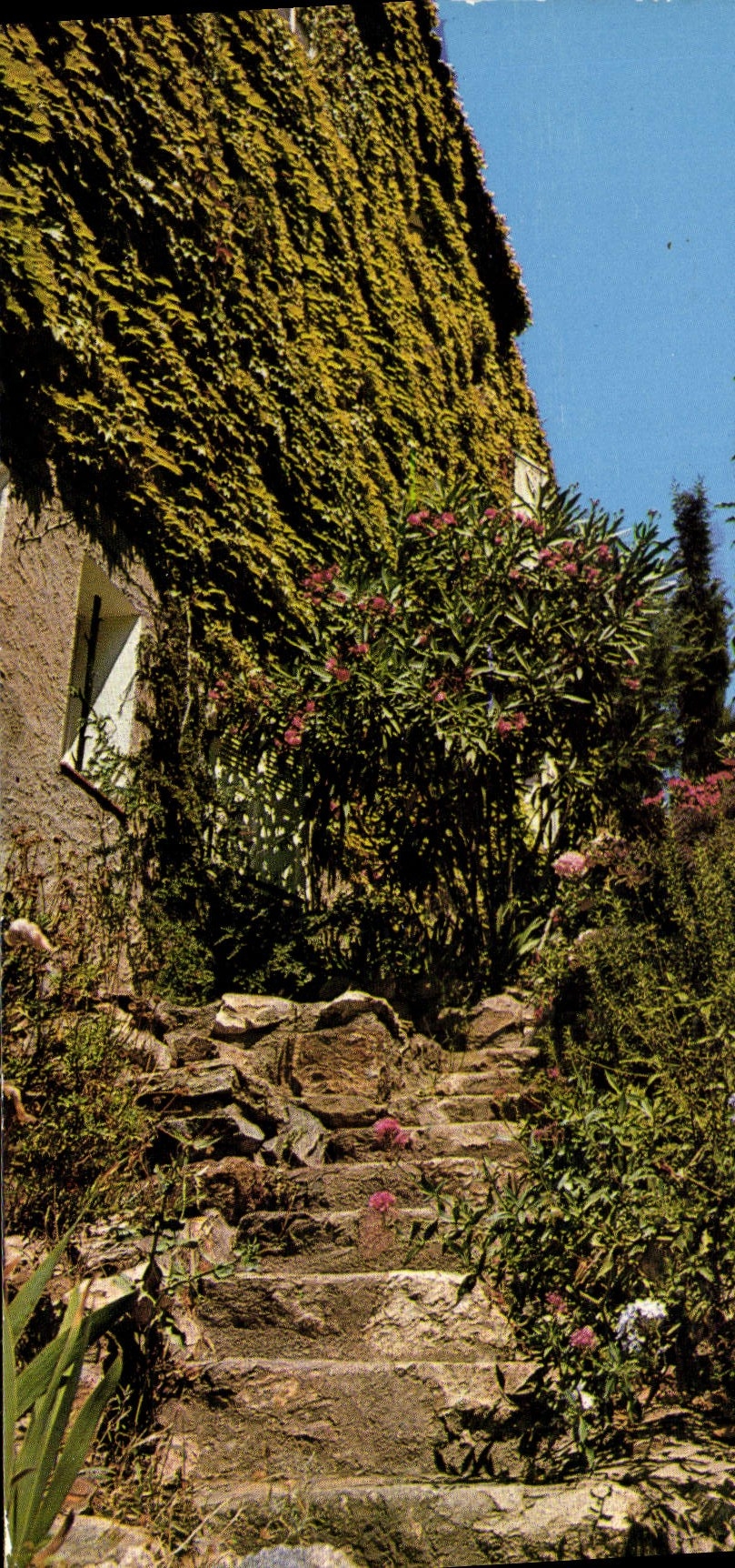 CPM La Provence Coin pittoresque 