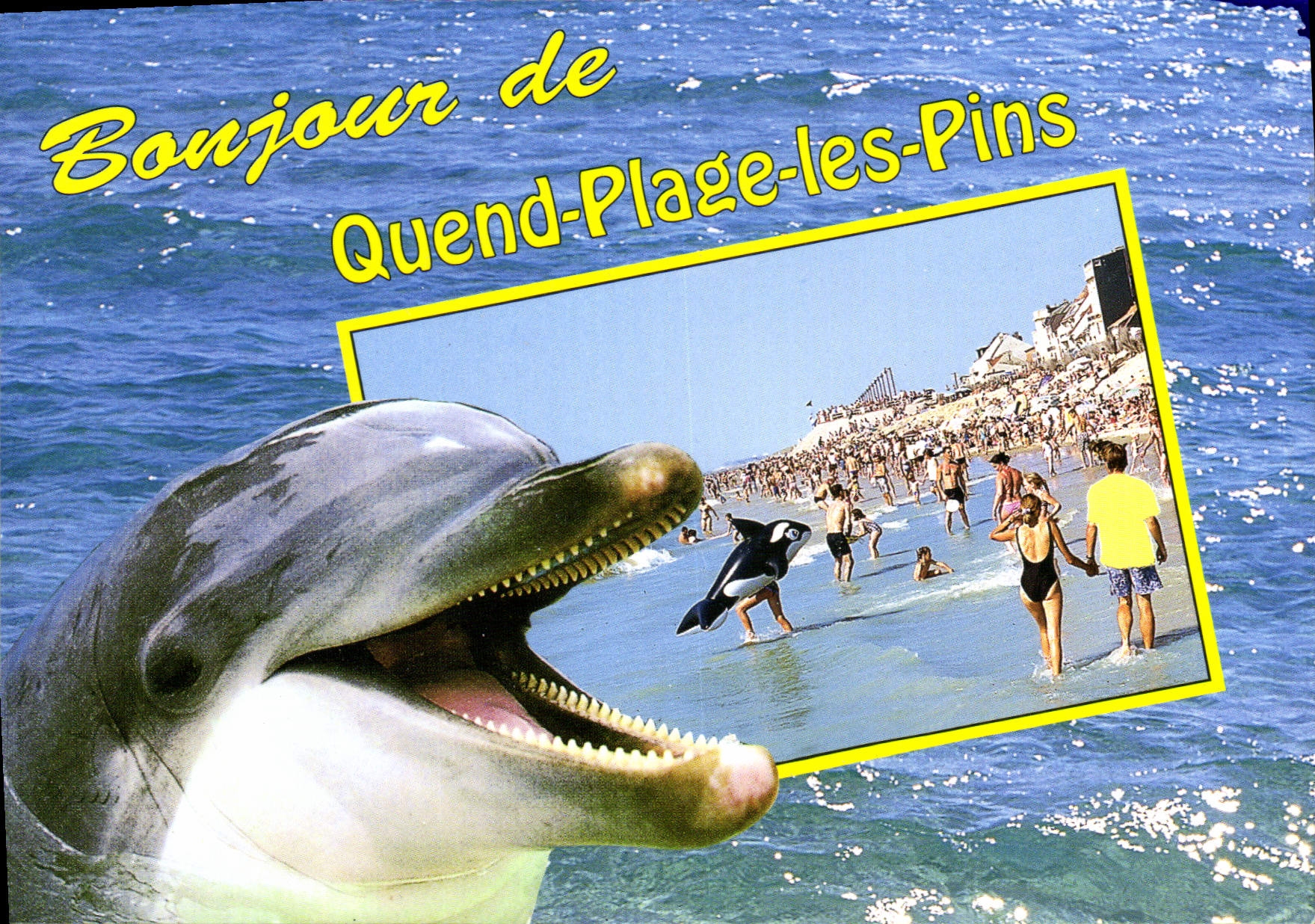 CPM La Cote d'Opale Quend plage les pins la plage et le front de mer Dauphin