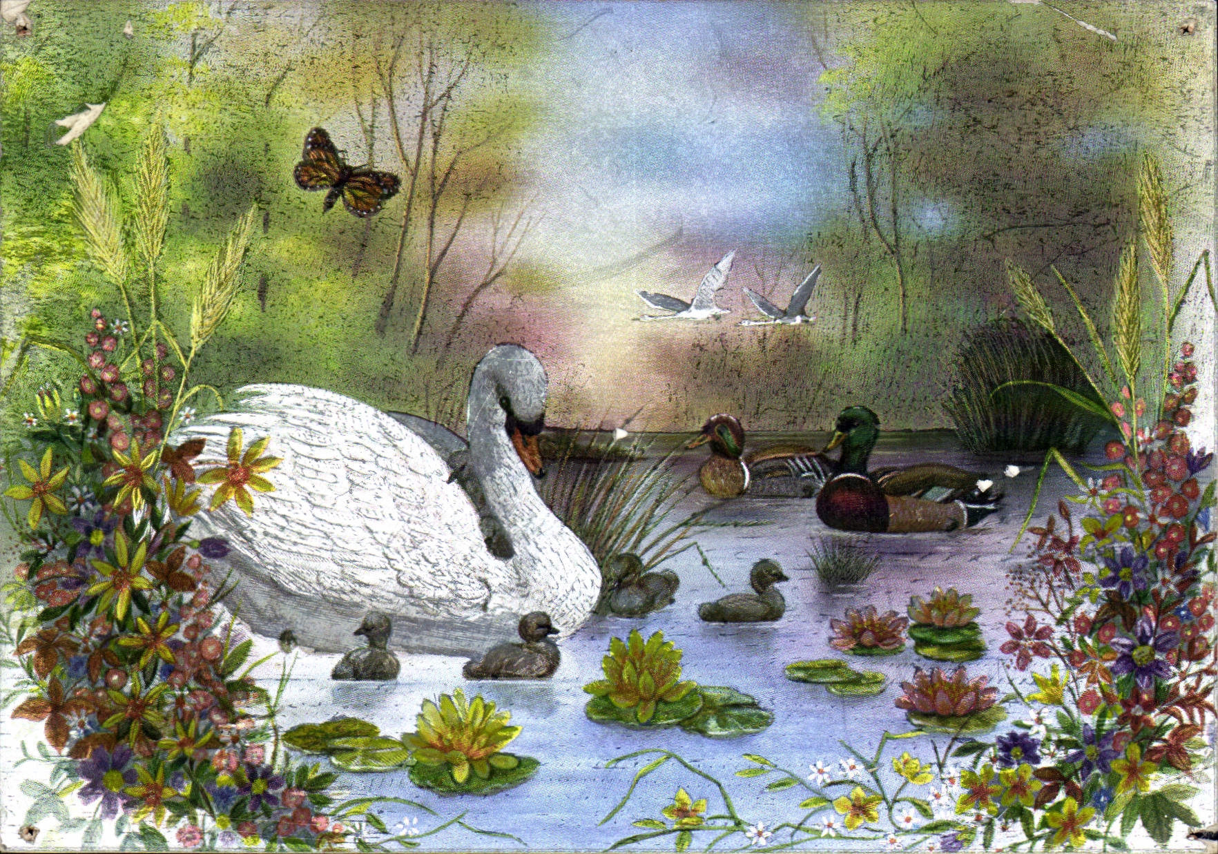 CPM Cygne Canard Papillon