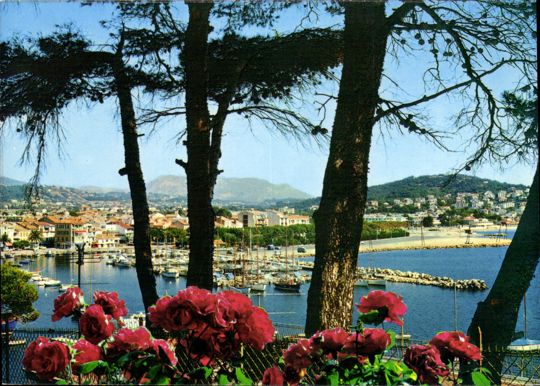 CPM Charmes et Soleil de la Cote d'Azur Sanary Perspective sur le port