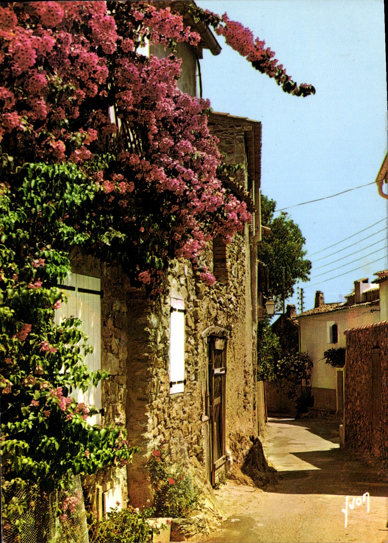 CPM Couleurs et lumiere de France La Cote d'Azur miracule de la nature Vieilles maisons fleuries de