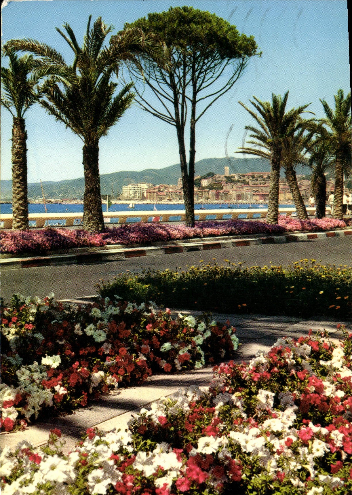 CPM La Cote d'Azur Cannes la Croisette 