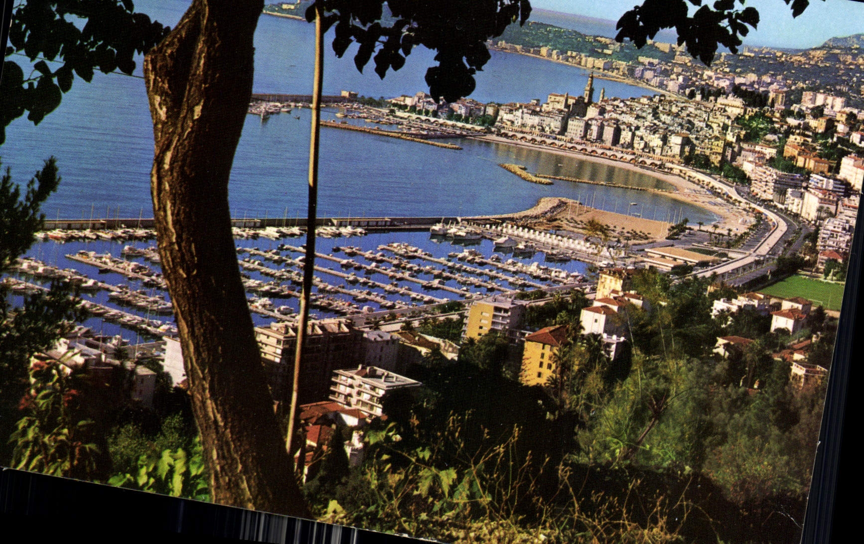 CPM Menton Cote d'Azur Le nouveau port e Vieille ville