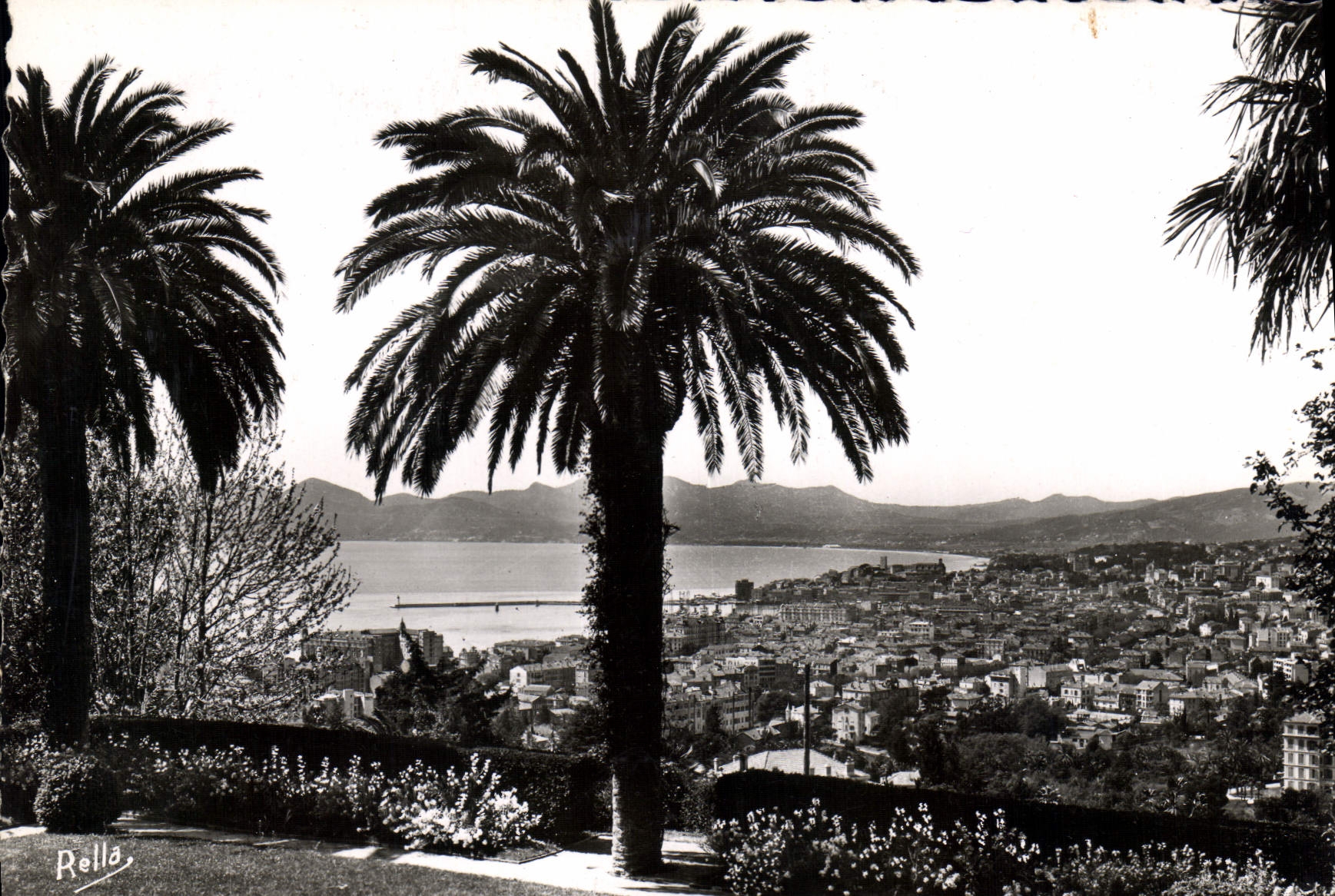 CPM La Cote d'Azur Cannes vue d'ensemble