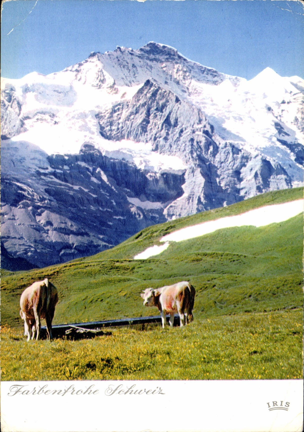 CPM Farbenfrohe Schweiz 