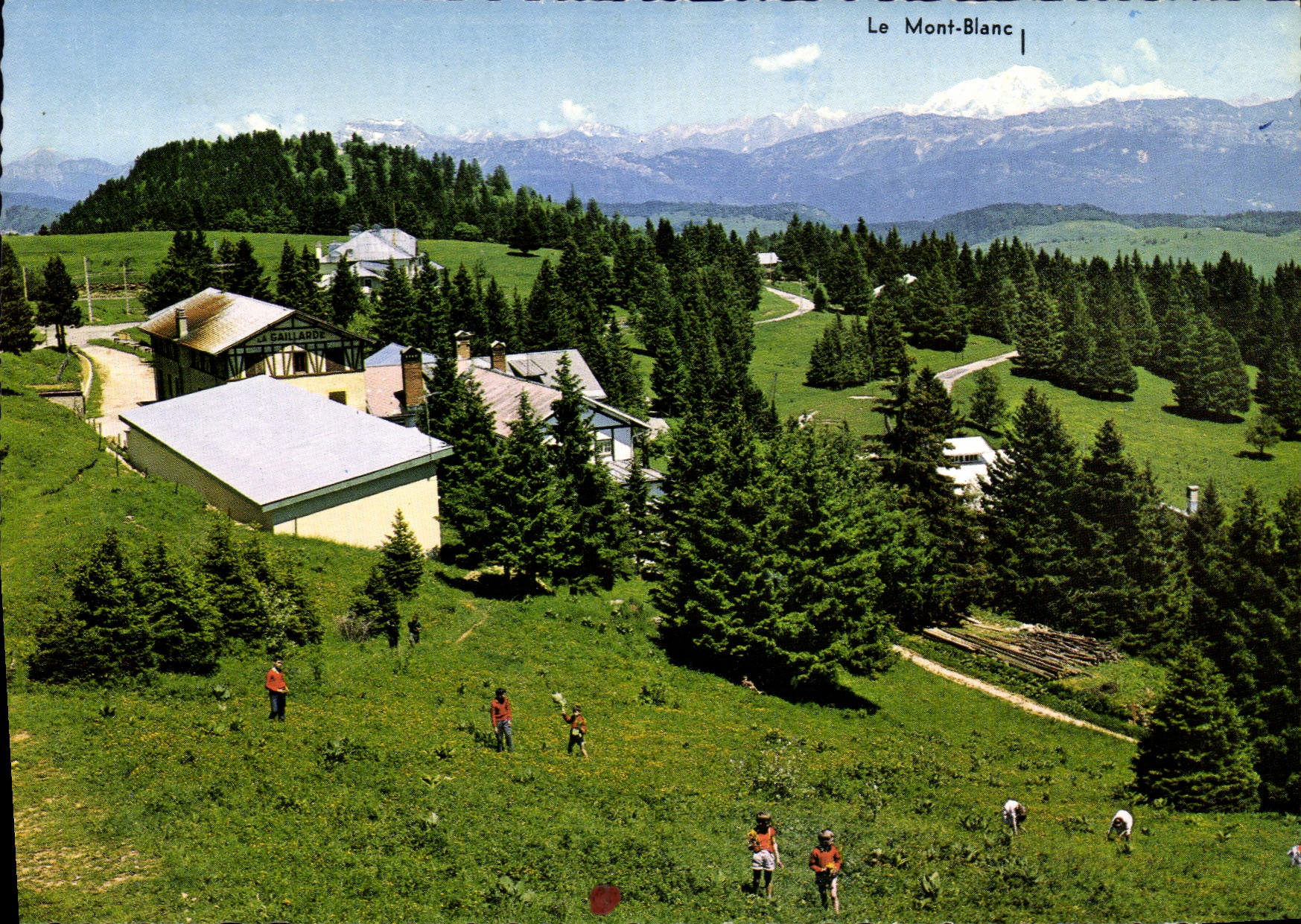 CPM Aux environs d'Aix les Bains Savoie le Plateau du Revard et la Chatre du Mont Blanc 